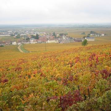 Château de Semur-en-Auxois